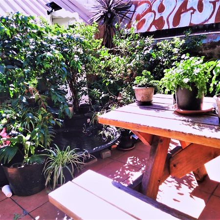 Asylum Sydney Backpackers Hostel Εξωτερικό φωτογραφία