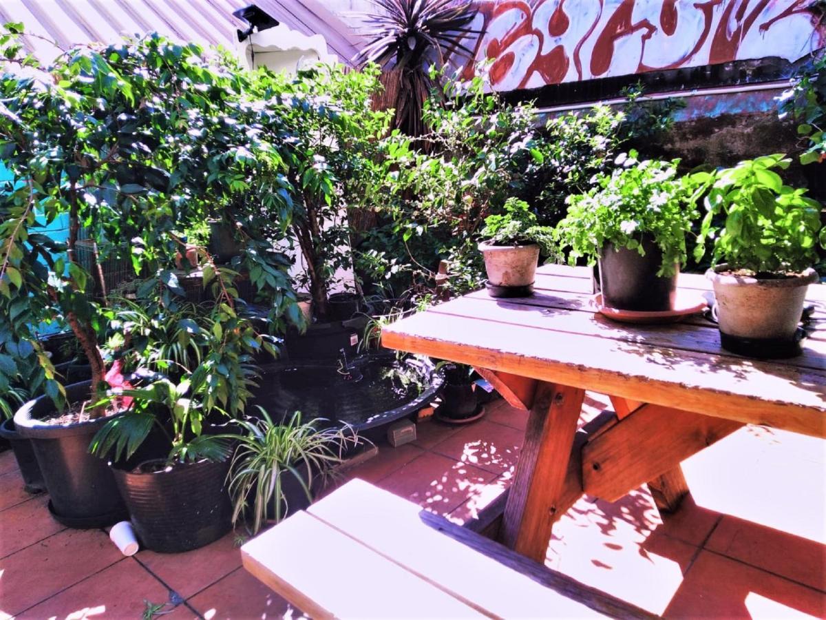 Asylum Sydney Backpackers Hostel Εξωτερικό φωτογραφία
