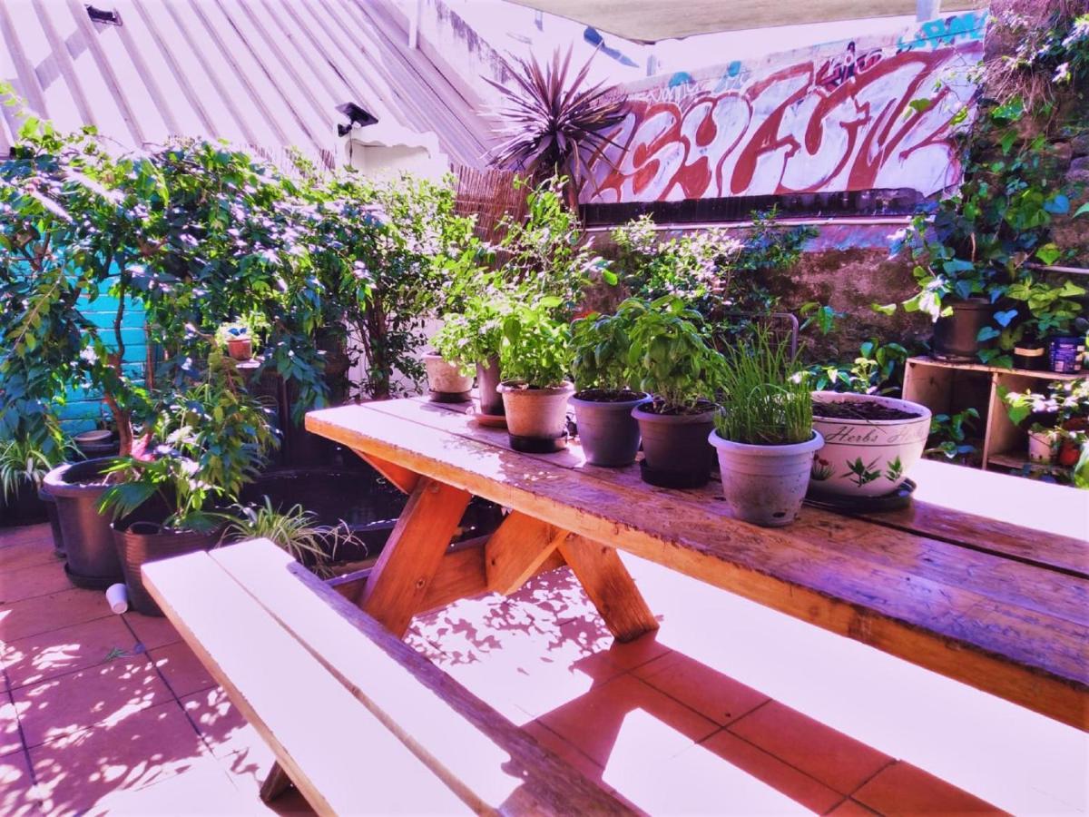Asylum Sydney Backpackers Hostel Εξωτερικό φωτογραφία