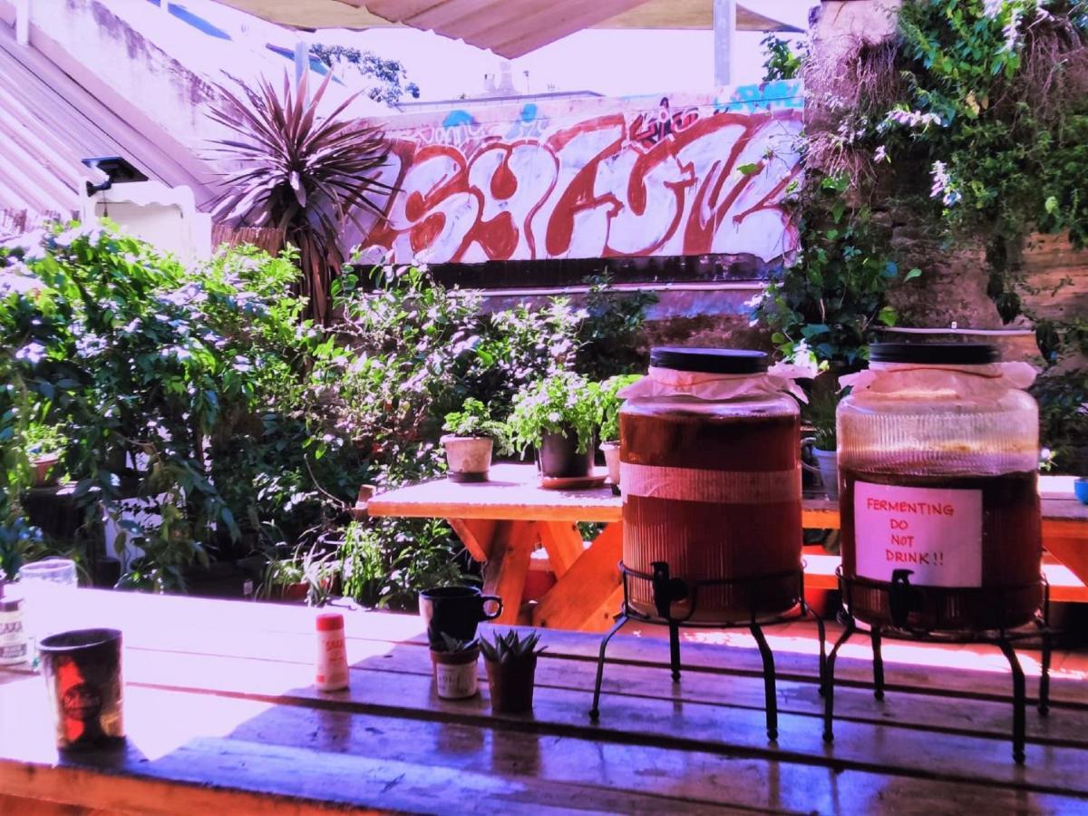 Asylum Sydney Backpackers Hostel Εξωτερικό φωτογραφία